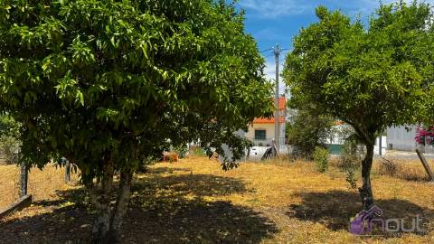 Terreno Para Construção  Venda em Tinalhas,Castelo Branco