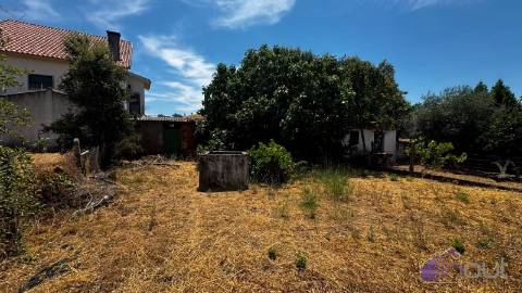 Terreno Para Construção  Venda em Tinalhas,Castelo Branco