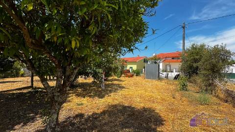 Terreno Para Construção  Venda em Tinalhas,Castelo Branco
