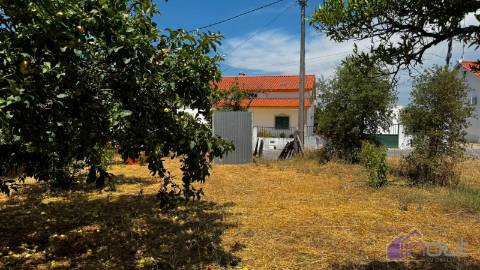 Terreno Para Construção  Venda em Tinalhas,Castelo Branco