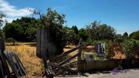 Terreno Para Construção  Venda em Tinalhas,Castelo Branco