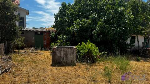 Terreno Para Construção  Venda em Tinalhas,Castelo Branco