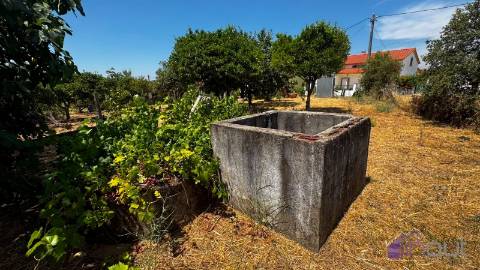 Terreno Para Construção  Venda em Tinalhas,Castelo Branco