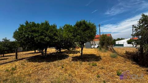 Terreno Para Construção  Venda em Tinalhas,Castelo Branco