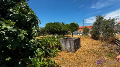 Terreno Para Construção  Venda em Tinalhas,Castelo Branco