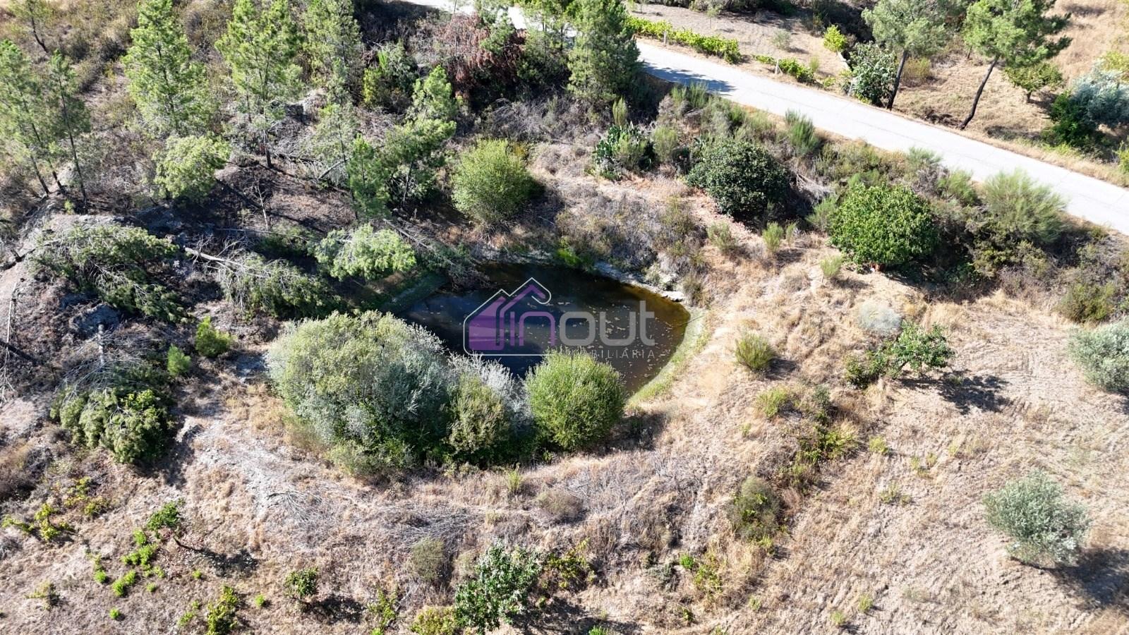 Terreno Rústico com 1,14 ha em Vale de Pousadas – 37.000€