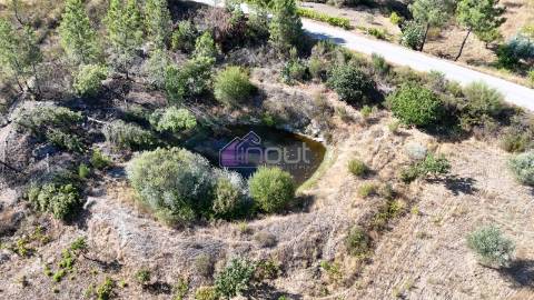 Terreno Rústico com 1,14 ha em Vale de Pousadas – 37.000€