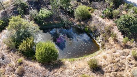 Terreno Rústico com 1,14 ha em Vale de Pousadas – 37.000€