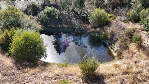 Terreno Rústico com 1,14 ha em Vale de Pousadas – 37.000€