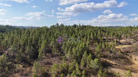 Terreno Rústico com 1,14 ha em Vale de Pousadas – 37.000€