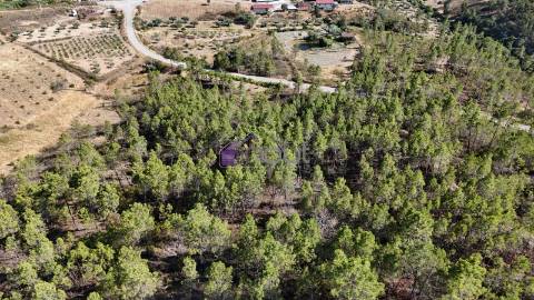 Terreno Rústico com 1,14 ha em Vale de Pousadas – 37.000€