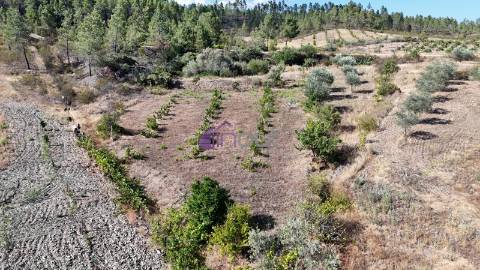Terreno Rústico com 1,14 ha em Vale de Pousadas – 37.000€