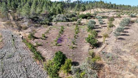 Terreno Rústico com 1,14 ha em Vale de Pousadas – 37.000€