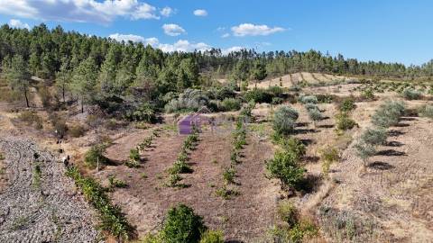 Terreno Rústico com 1,14 ha em Vale de Pousadas – 37.000€