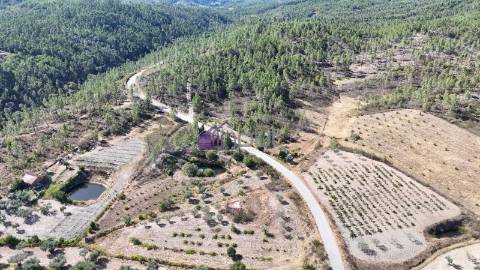 Terreno Rústico com 1,14 ha em Vale de Pousadas – 37.000€