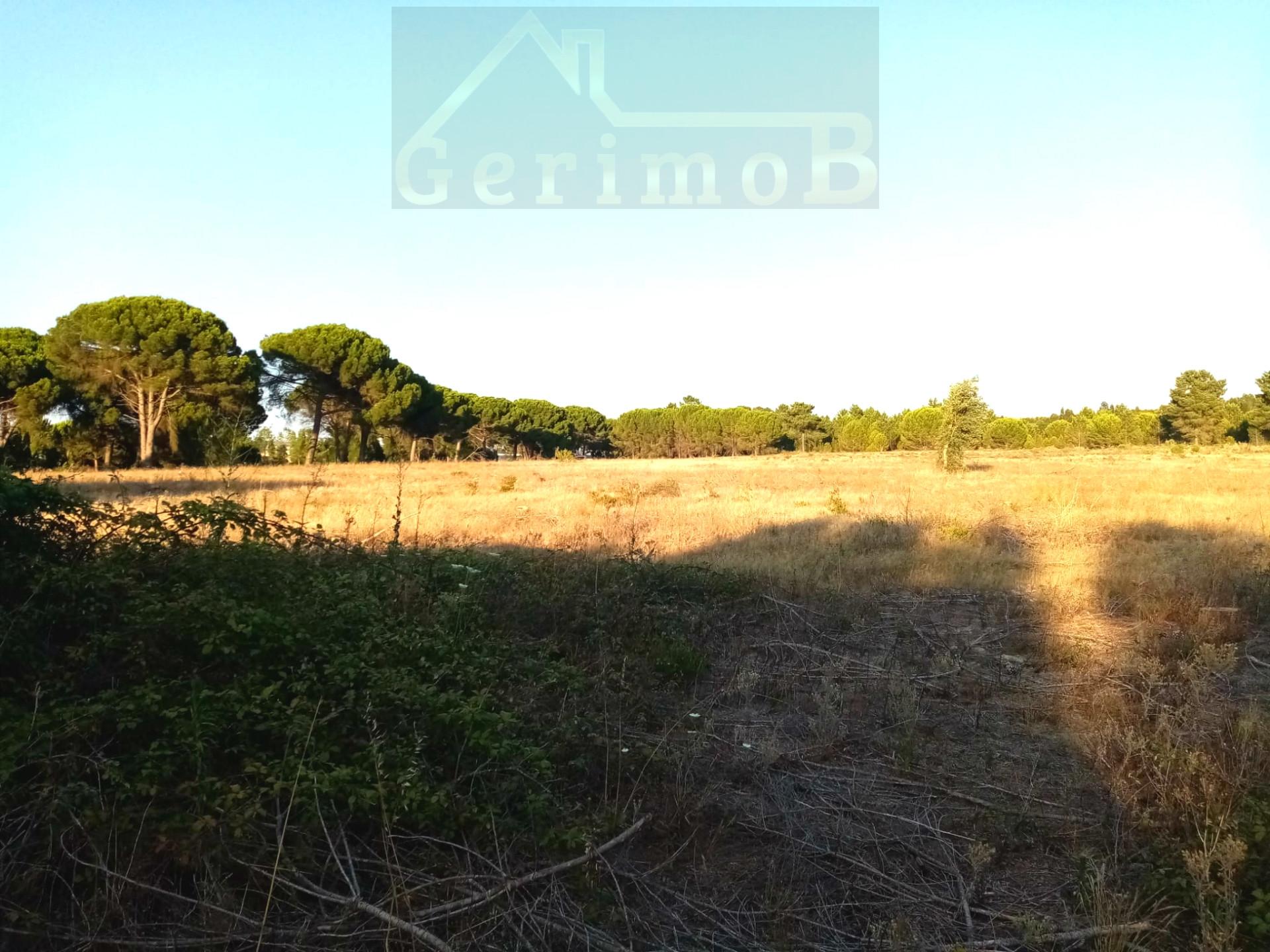 Terreno misto em Pegões Velhos