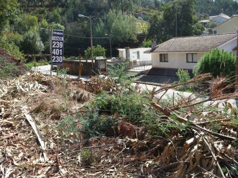 Terreno urbano para construção moradia isolada, em Ceira