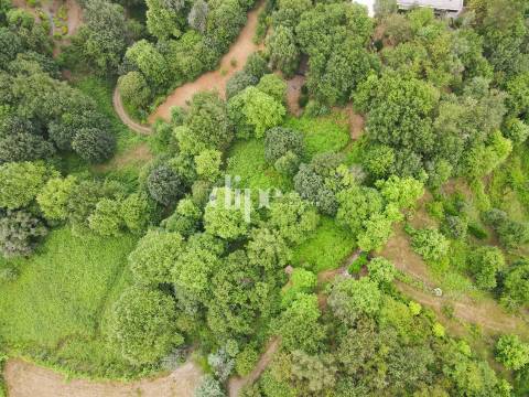 Terreno com 13.714 m2 situado no Gerês.