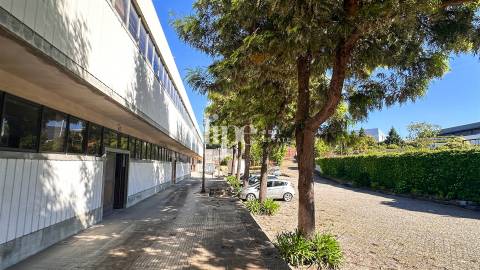 Armazém para arrendamento com 583m2