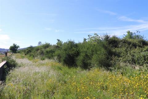 Lote de Terreno  Venda em Paredes,Paredes