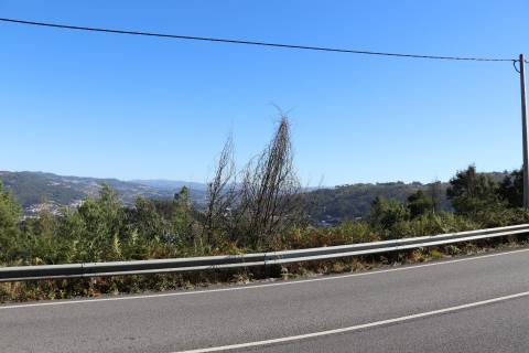Terreno  Venda em Lustosa e Barrosas (Santo Estêvão),Lousada