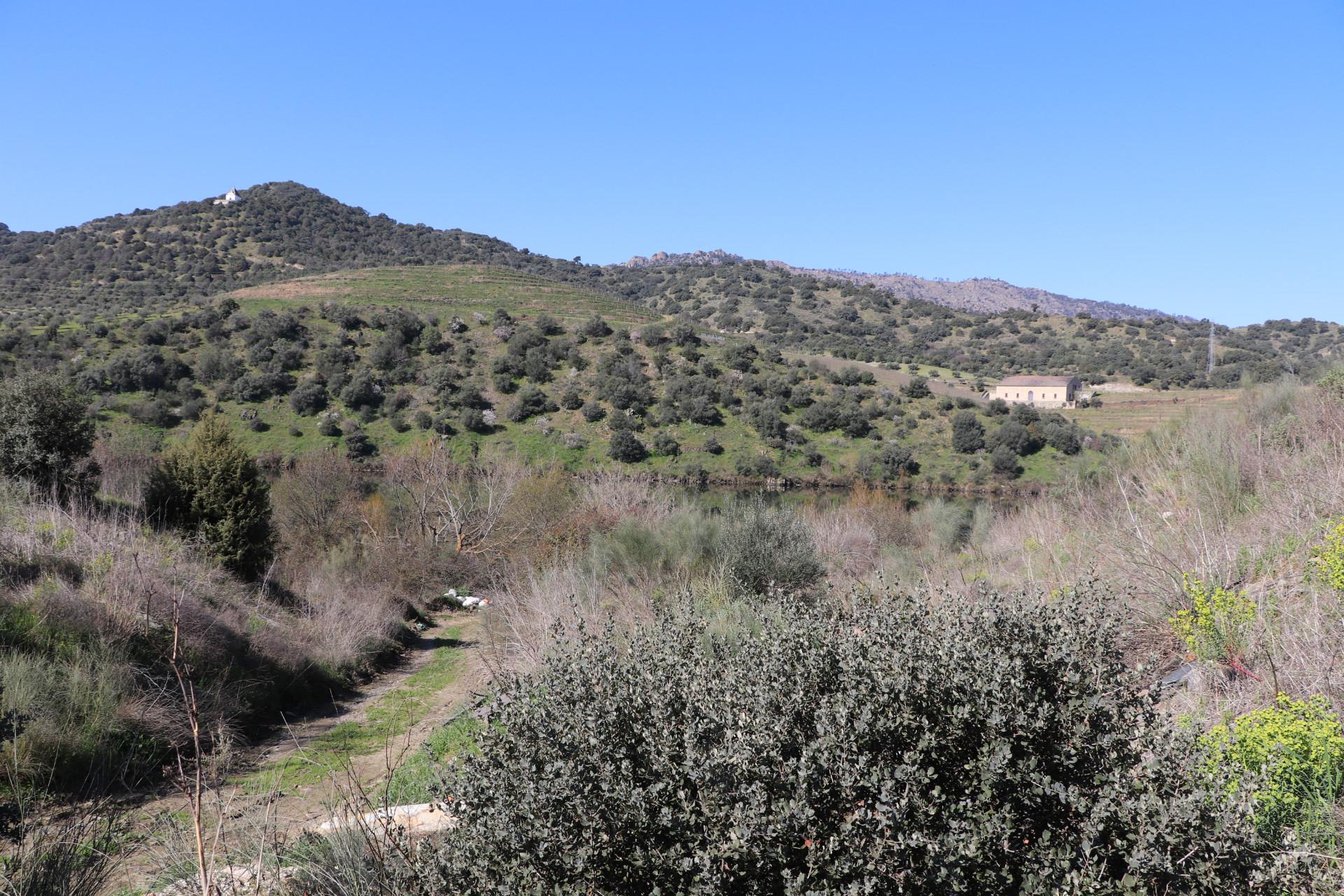 Quinta  Venda em Torre de Moncorvo,Torre de Moncorvo