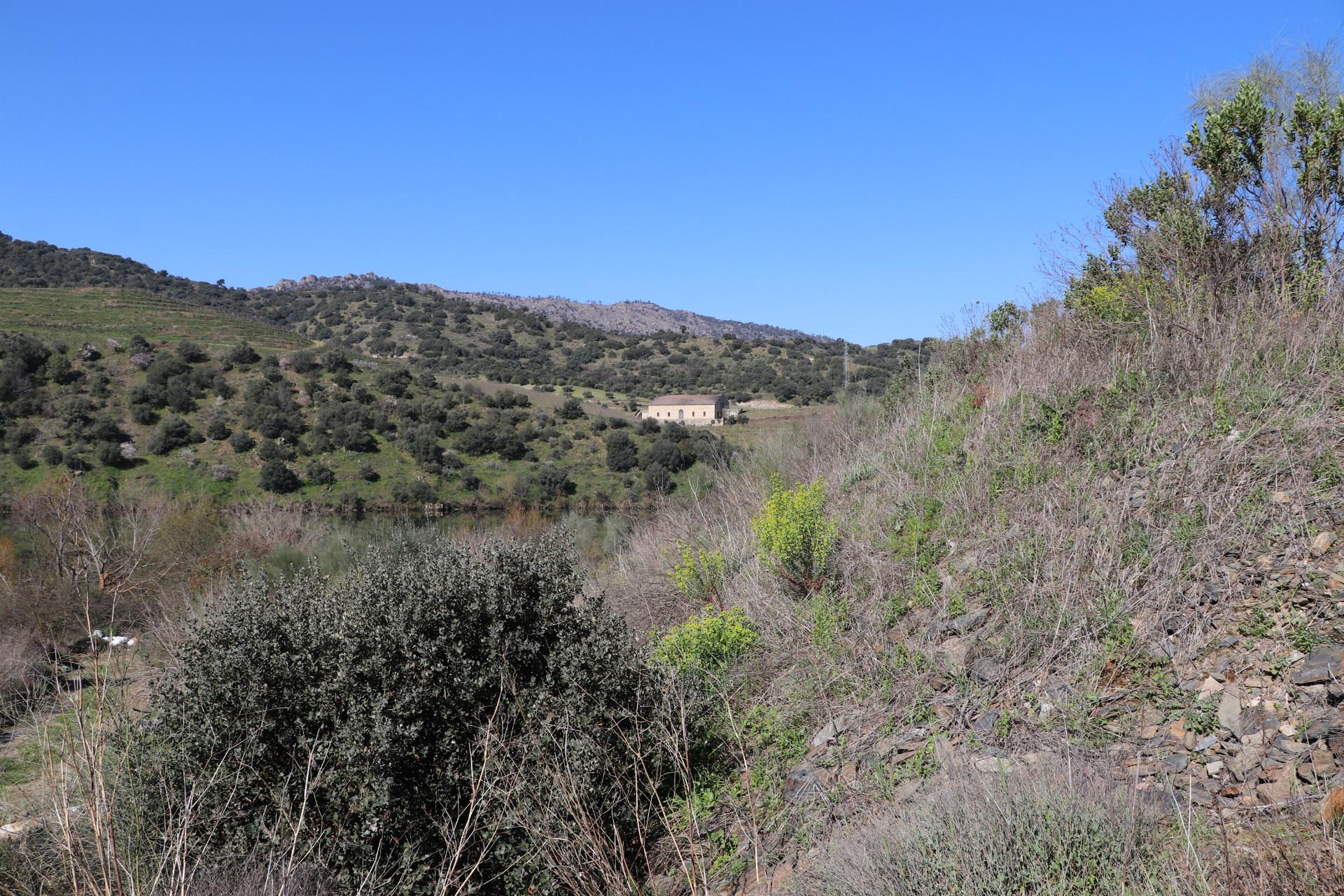 Quinta  Venda em Torre de Moncorvo,Torre de Moncorvo