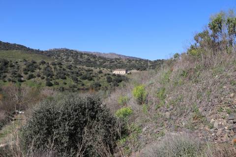Quinta  Venda em Torre de Moncorvo,Torre de Moncorvo