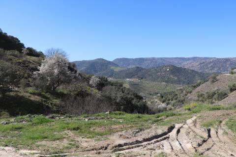 Quinta  Venda em Torre de Moncorvo,Torre de Moncorvo