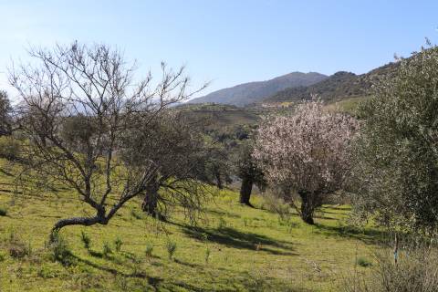 Quinta  Venda em Torre de Moncorvo,Torre de Moncorvo