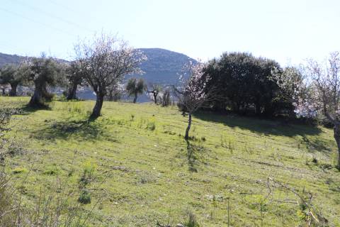 Quinta  Venda em Torre de Moncorvo,Torre de Moncorvo