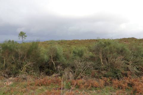 Lote de Terreno  Venda em Lustosa e Barrosas (Santo Estêvão),Lousada