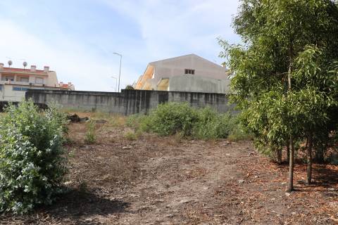 Terreno  Venda em Lustosa e Barrosas (Santo Estêvão),Lousada
