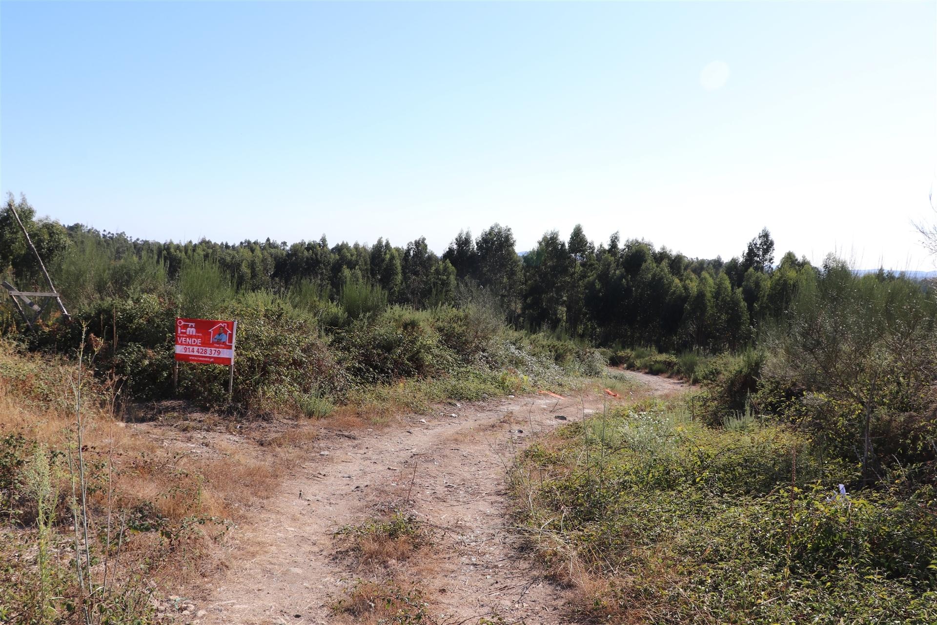 Lote de Terreno  Venda em Lustosa e Barrosas (Santo Estêvão),Lousada