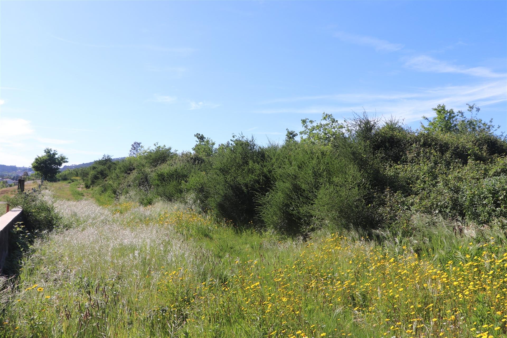 Lote de Terreno  Venda em Paredes,Paredes