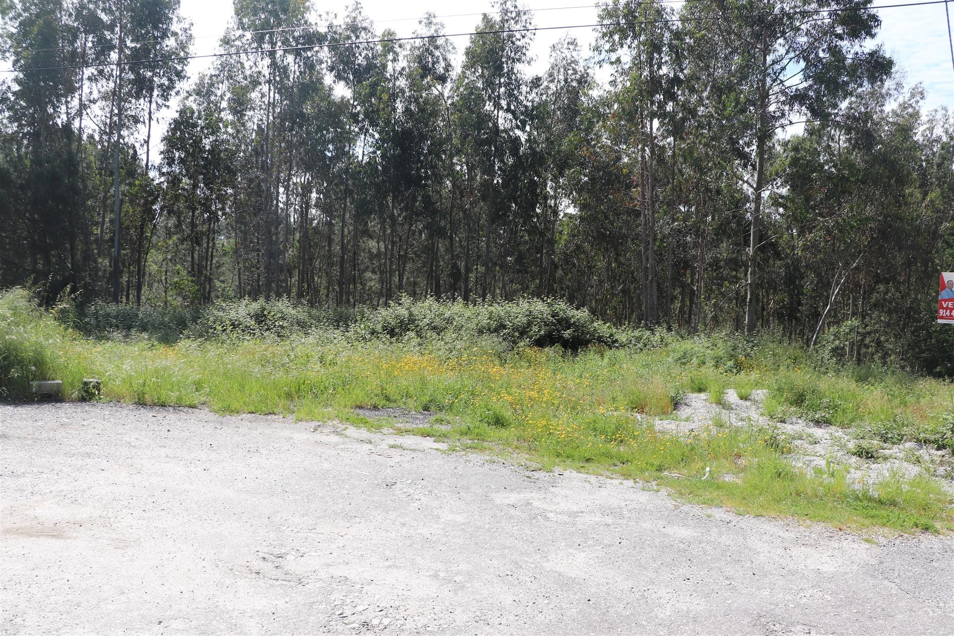 Lote de Terreno  Venda em Lustosa e Barrosas (Santo Estêvão),Lousada
