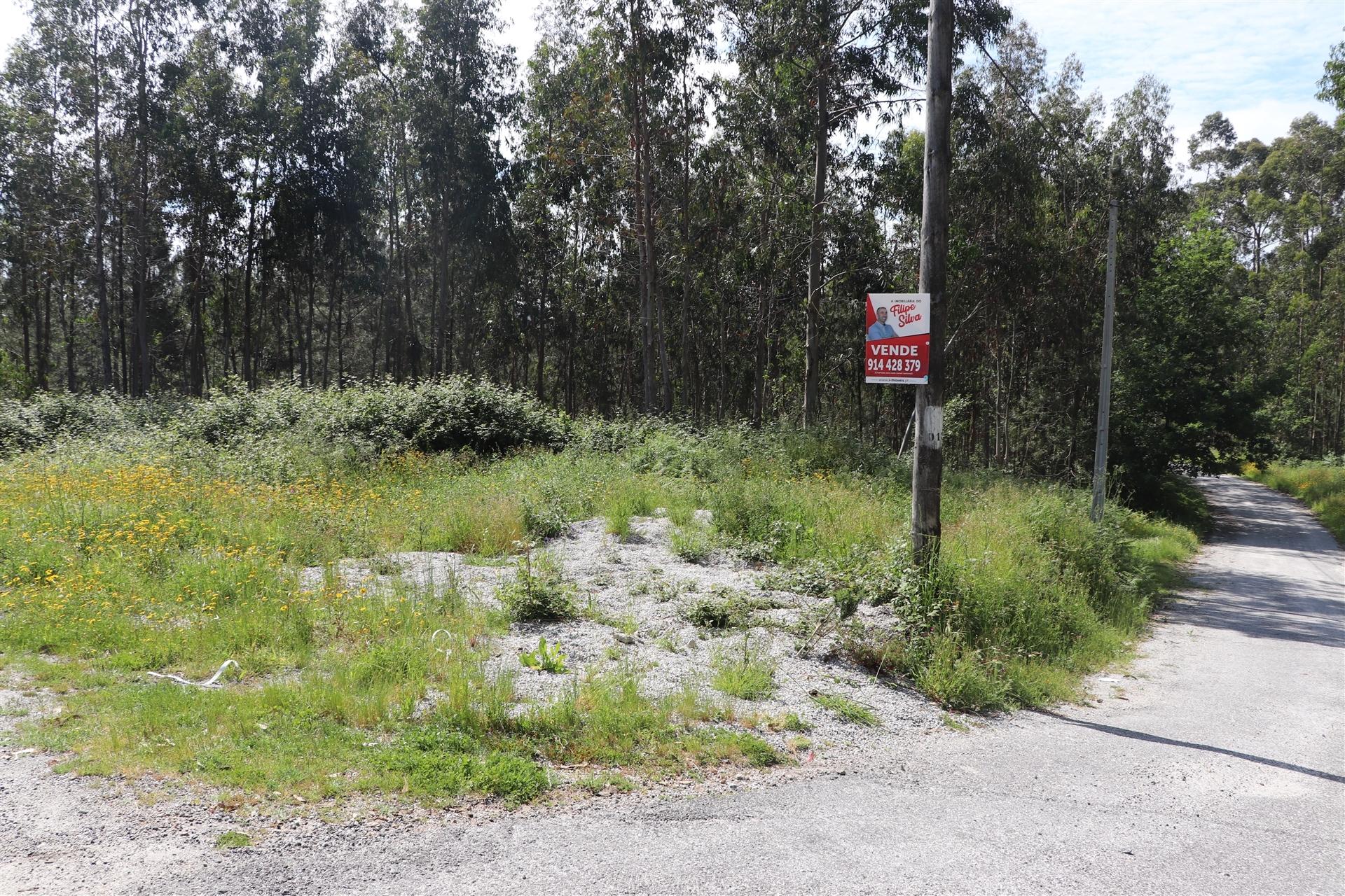 Lote de Terreno  Venda em Lustosa e Barrosas (Santo Estêvão),Lousada