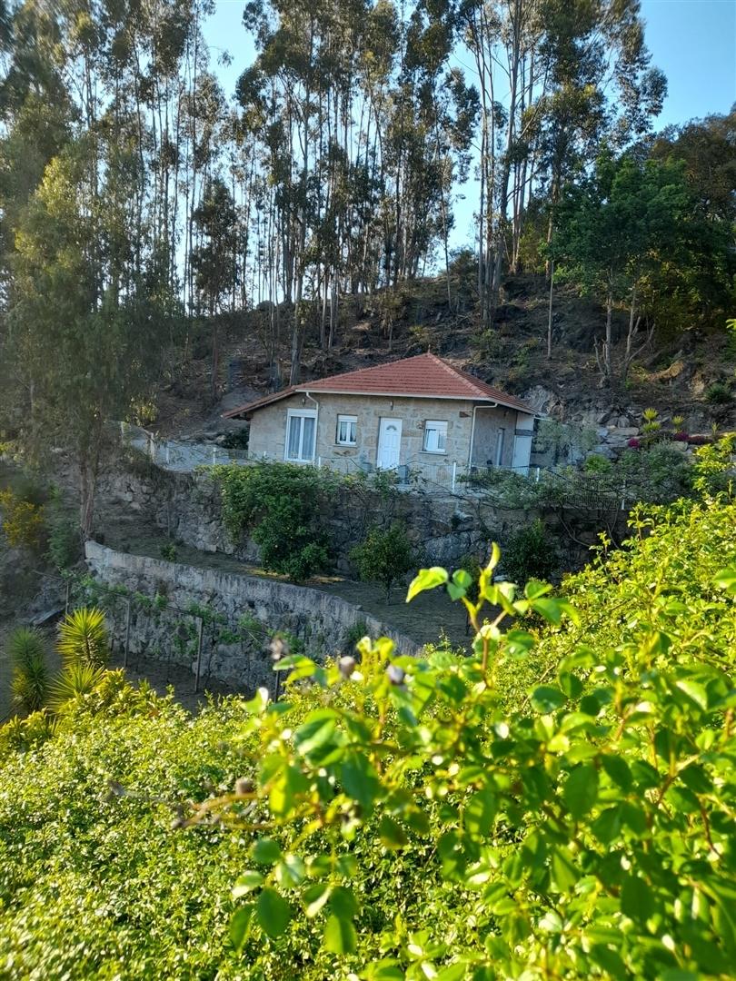 Herdade T3 Venda em Sousela,Lousada