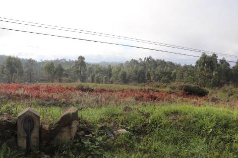 Lote de Terreno  Venda em Lustosa e Barrosas (Santo Estêvão),Lousada