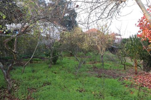 Moradia Isolada T3+3 Venda em Campo (São Martinho), São Salvador do Campo e Negrelos (São Mamede),Santo Tirso