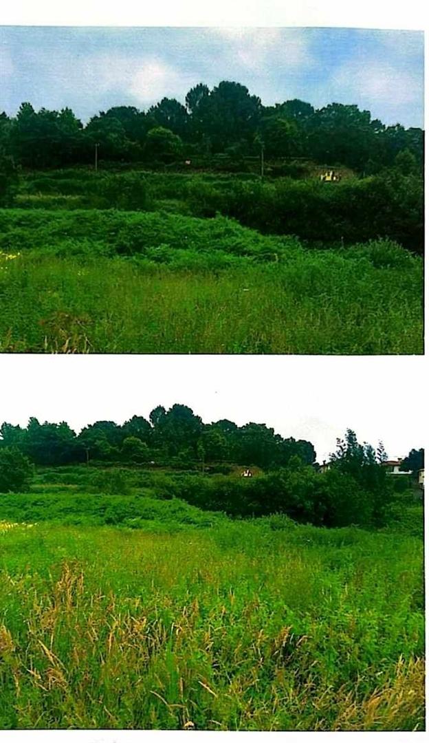 Terreno Para Construção  Venda em Oliveira de Azeméis, Santiago de Riba-Ul, Ul, Macinhata da Seixa e Madail,Oliveira de Azeméis