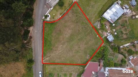 Terreno Para Construção  Venda em Pinheiro da Bemposta, Travanca e Palmaz,Oliveira de Azeméis
