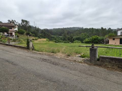 Terreno Para Construção  Venda em Pinheiro da Bemposta, Travanca e Palmaz,Oliveira de Azeméis