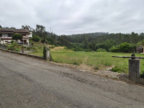 Terreno Para Construção  Venda em Pinheiro da Bemposta, Travanca e Palmaz,Oliveira de Azeméis