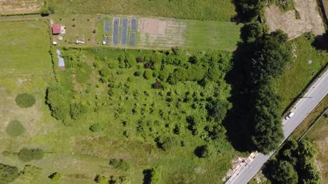 Terreno Rústico  Venda em Carvalhais e Candal,São Pedro do Sul