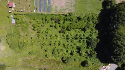 Terreno Rústico  Venda em Carvalhais e Candal,São Pedro do Sul