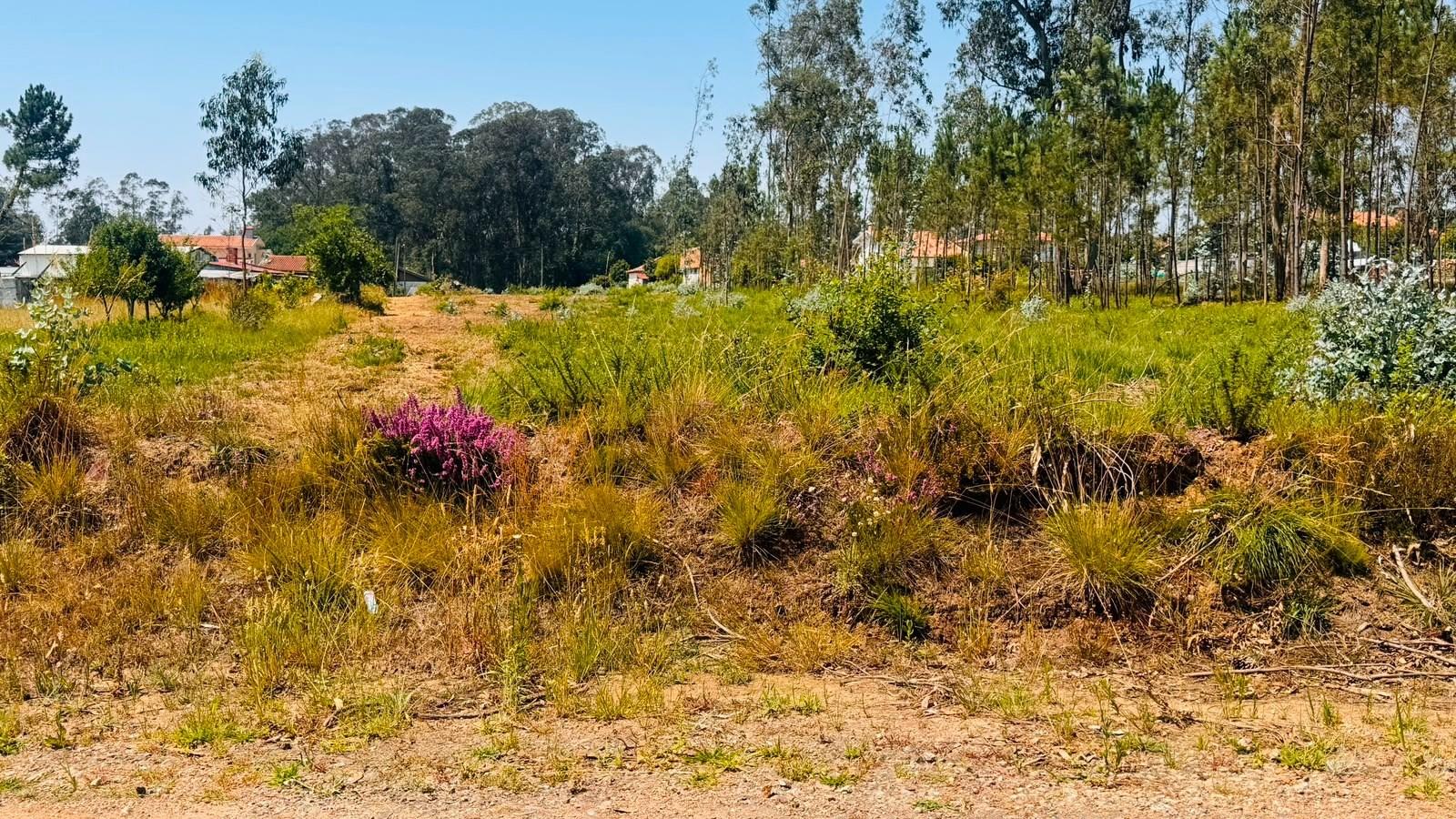 Terreno Para Construção  Venda em São Miguel do Souto e Mosteirô,Santa Maria da Feira