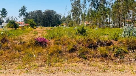Terreno Para Construção  Venda em São Miguel do Souto e Mosteirô,Santa Maria da Feira