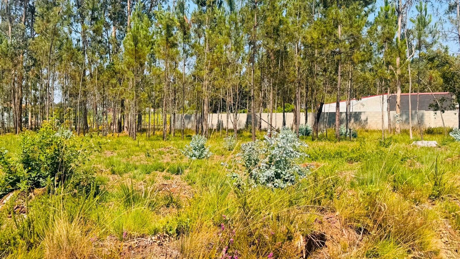 Terreno Para Construção  Venda em São Miguel do Souto e Mosteirô,Santa Maria da Feira