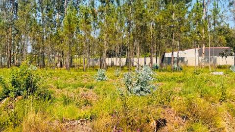 Terreno Para Construção  Venda em São Miguel do Souto e Mosteirô,Santa Maria da Feira
